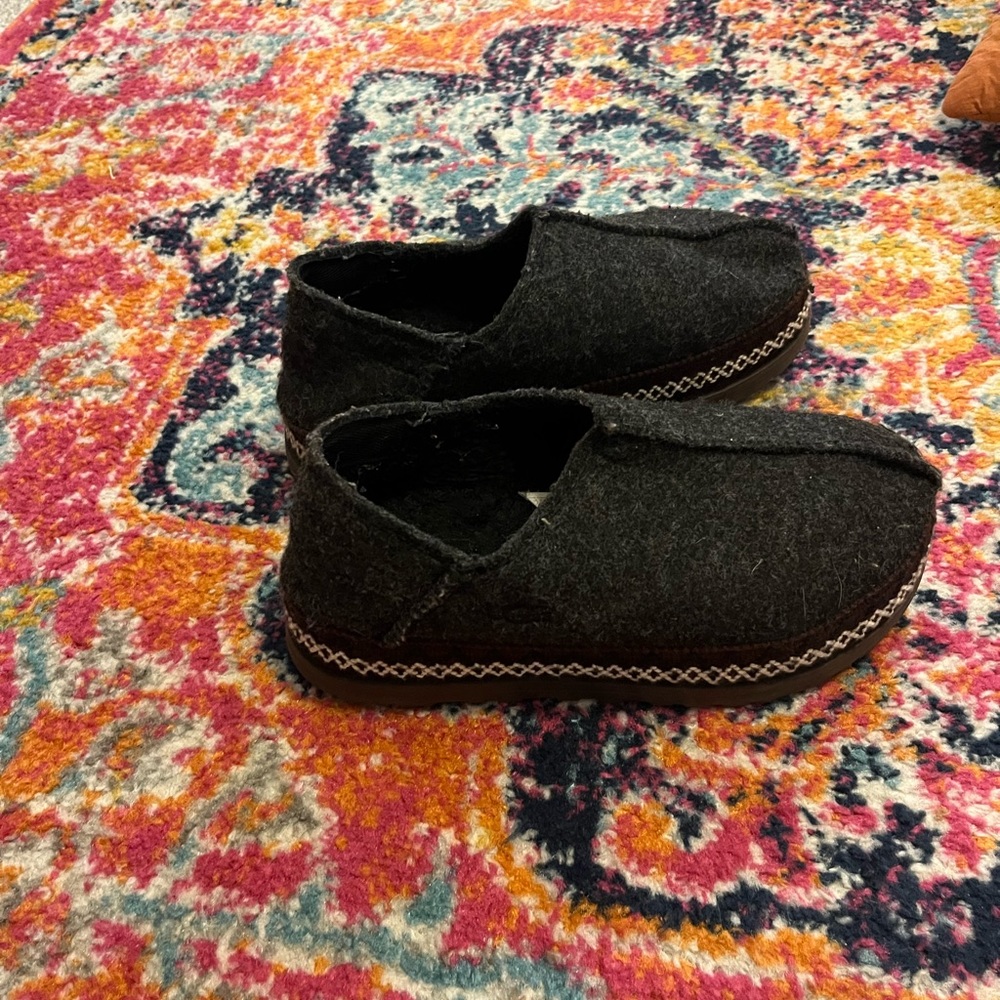 tasman uggs